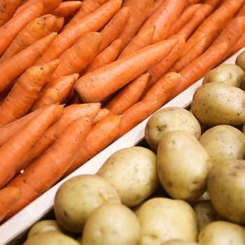 Казахстан ввел запрет на вывоз сельхозпродукции и живого скота