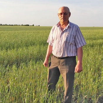 Дробно выпавшие дожди — не в счет