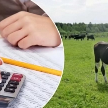 Аграрная кредитная корпорация начала выдачу льготных микрокредитов: предусмотрено 40 млрд. тенге