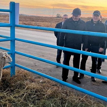 Новые горизонты сотрудничества обсудили министры сельского хозяйства Казахстана и Кыргызстана