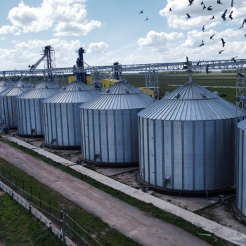 Когда выгоднее продавать зерно?