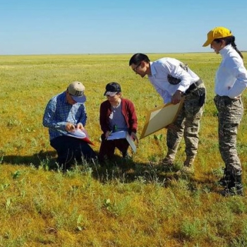 В Казахстане площадь сбитых в сильной и средней степени пастбищ составляет 26,6 млн. га