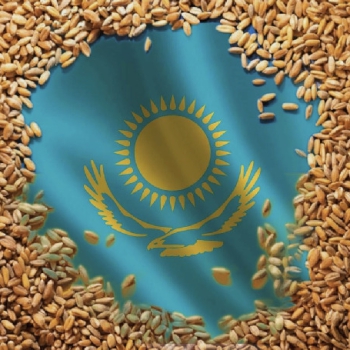 «Зеленый коридор»: Продкорпорация РК и китайская COFCO договариваются о наращивании поставок зерна