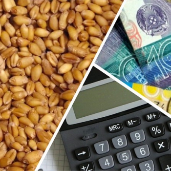Если зерно продавать без НДС, то цена обрушится ещё ниже – аграрии